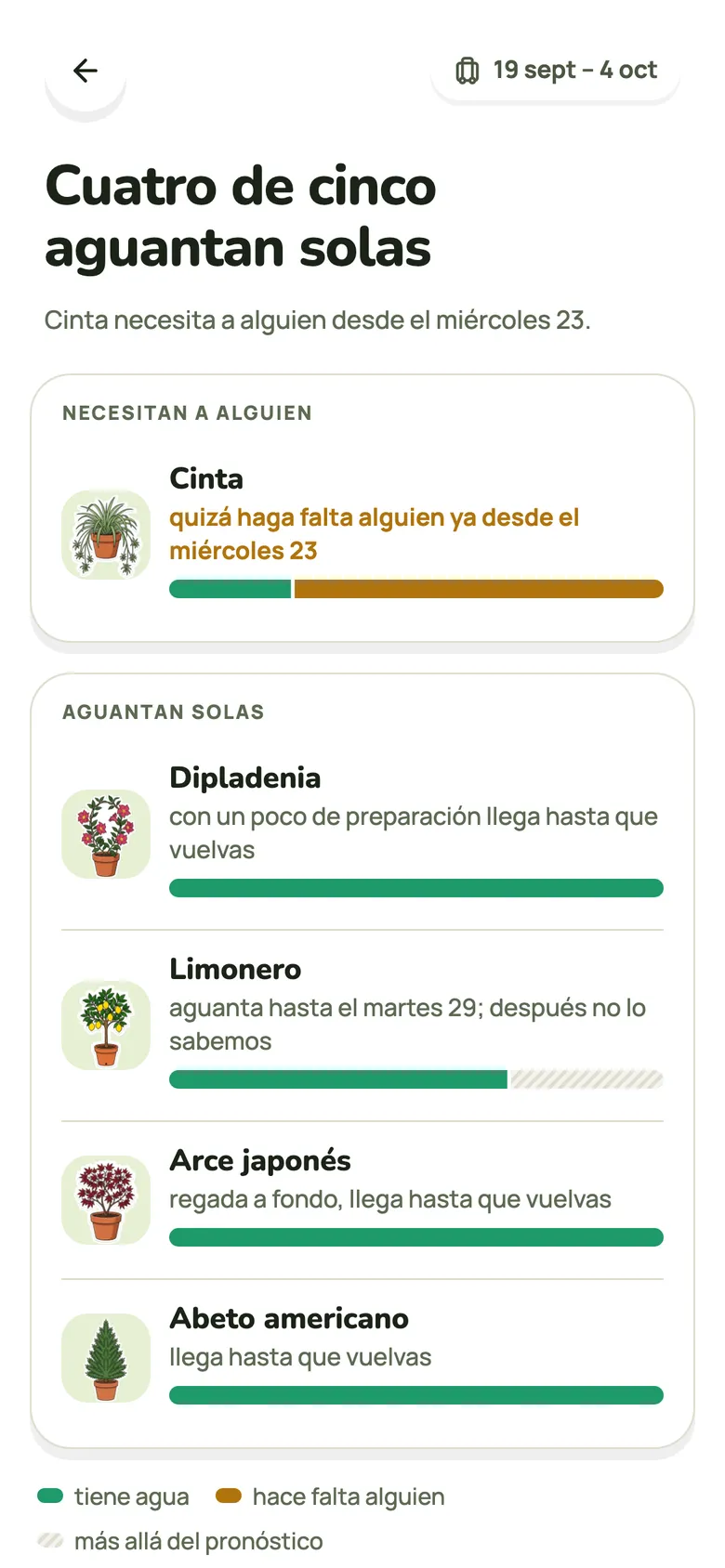 ¿Te vas de vacaciones? Mira qué plantas aguantan hasta que vuelvas.