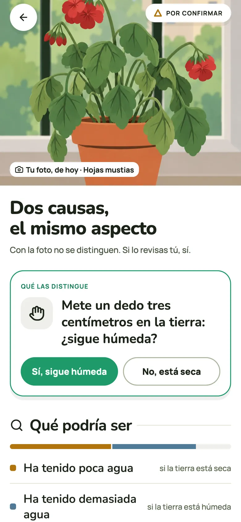 ¿Hojas amarillas o manchas? Fotografía la hoja.