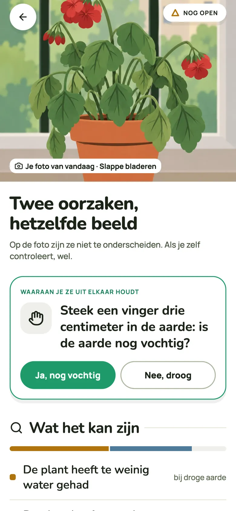 Gele bladeren of vlekken? Fotografeer het blad.
