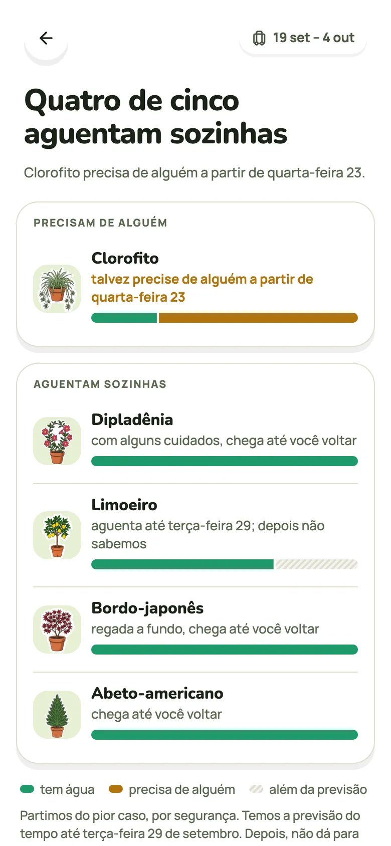 Vai viajar? Veja quais plantas aguentam até você voltar.