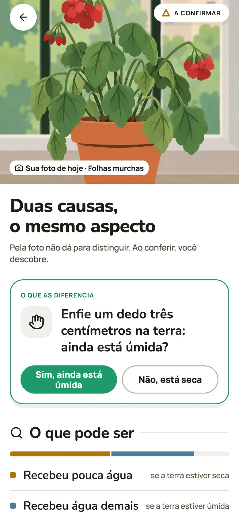 Folhas amarelas ou manchas? Fotografe a folha.